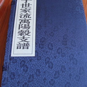 孟氏阳谷支谱