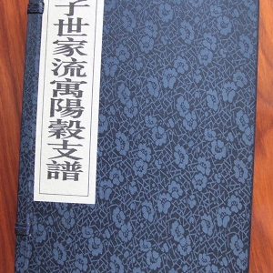 孟氏阳谷支谱