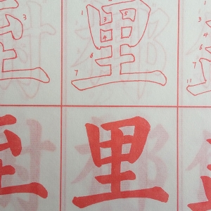 书法描红
