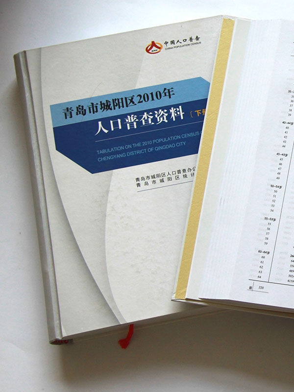精装书类