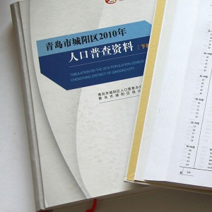 精装书类