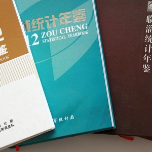 精装书类