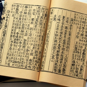 史志类